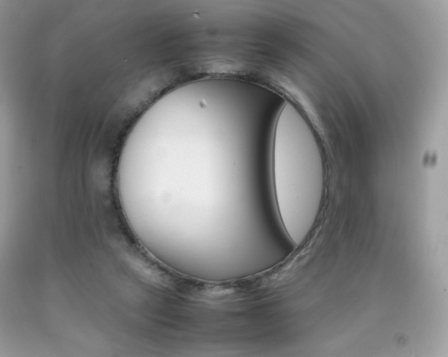 X0000092250257200709141011