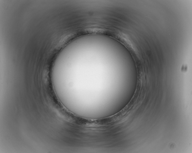 X0000092250259200709141011
