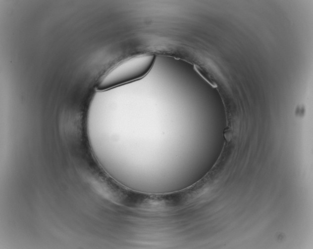 X0000092250260200709141011
