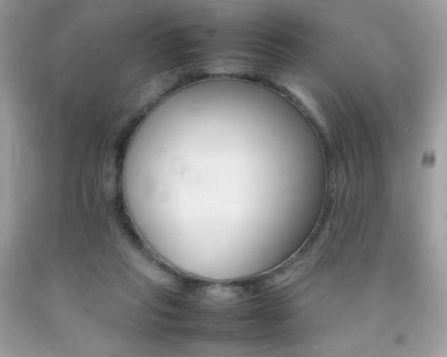 X0000092250261200709141011