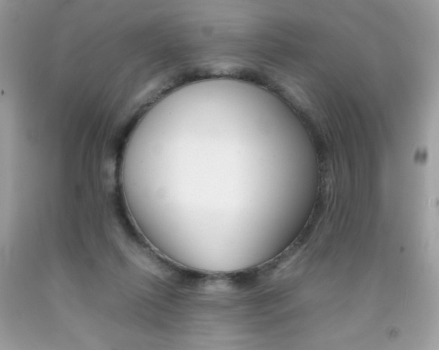 X0000092250262200709141011