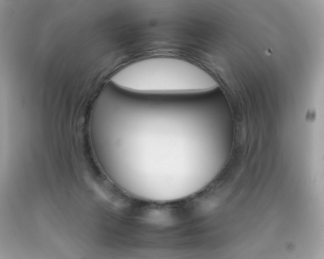 X0000092250263200709141011