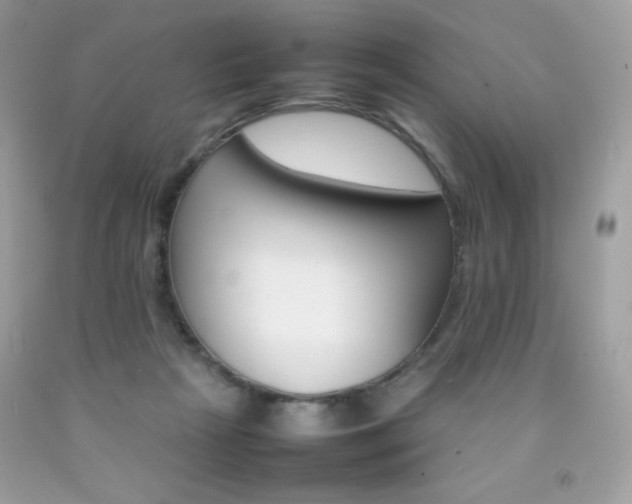 X0000092250265200709141011