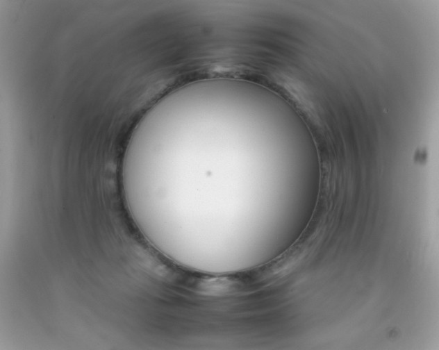 X0000092250269200709141011