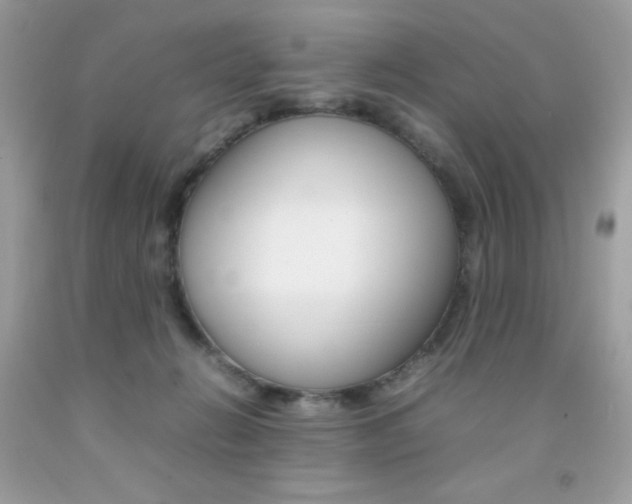 X0000092250270200709141011