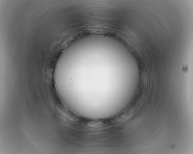X0000092250271200709141011
