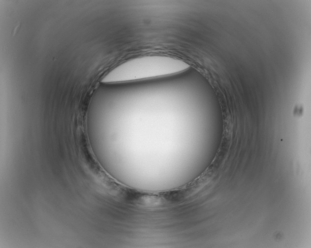 X0000092250272200709141011