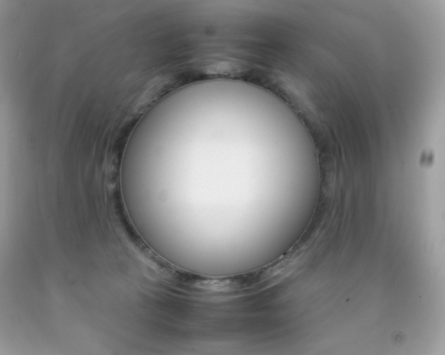 X0000092250273200709141011