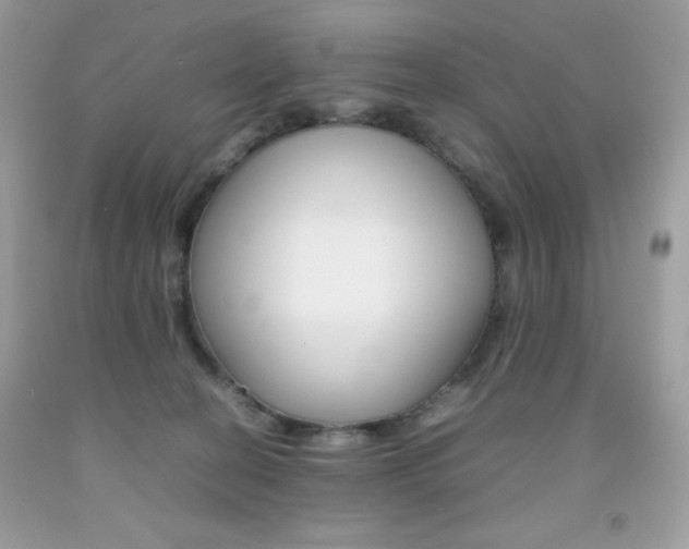 X0000092250274200709141011