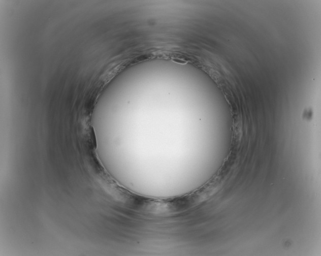X0000092250276200709141011