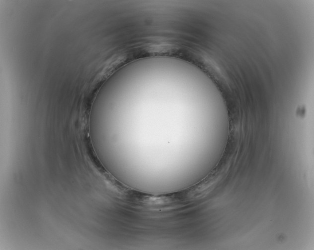X0000092250277200709141011