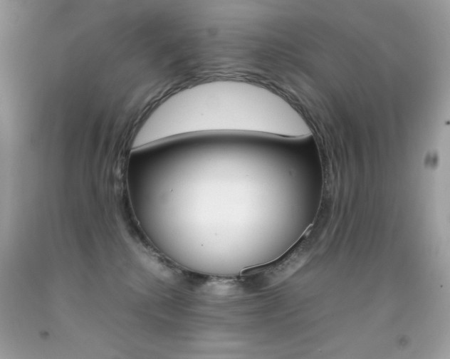 X0000092250280200709141011