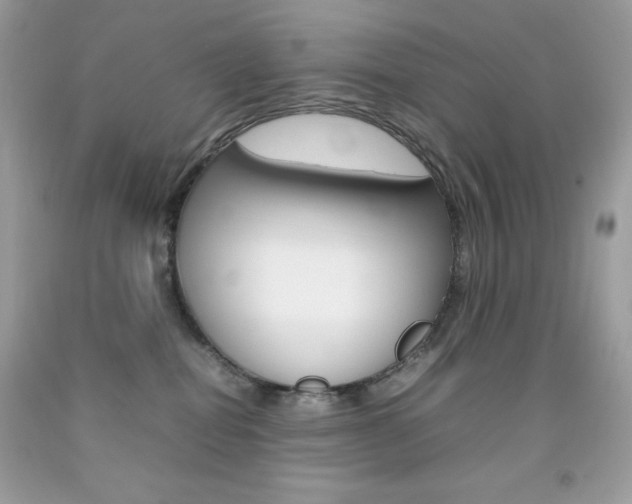 X0000092250282200709141012