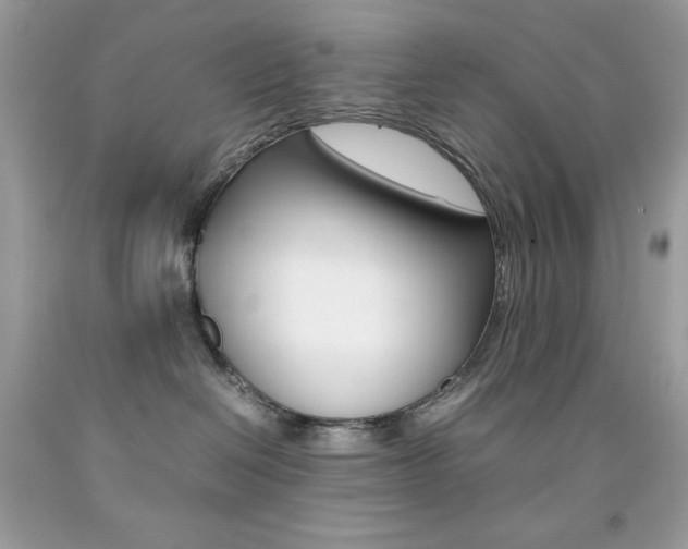 X0000092250286200709141012