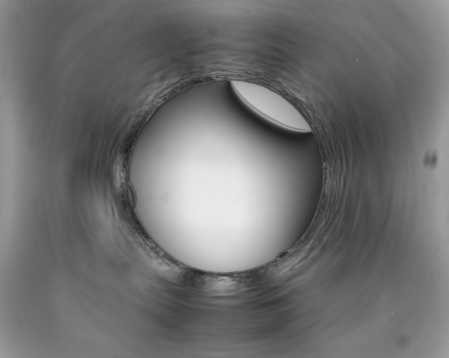 X0000092250287200709141012