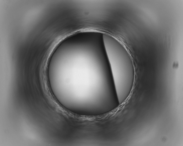 X0000092250289200709141011