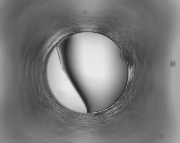 X0000092250291200709141011