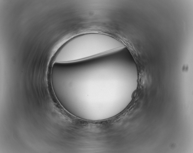 X0000092250292200709141011