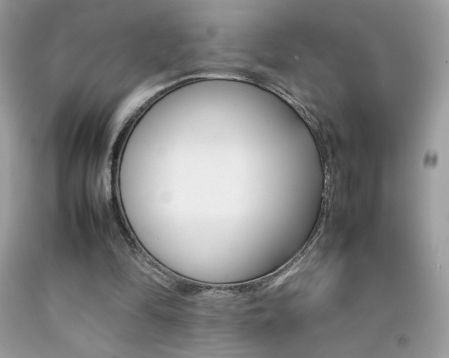 X0000092250294200709141011