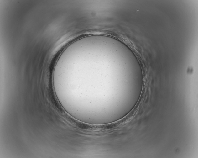 X0000092250295200709141011