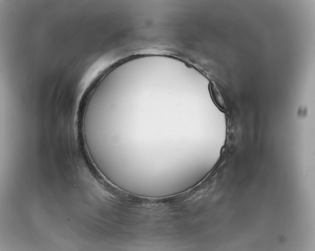 X0000092250296200709141011