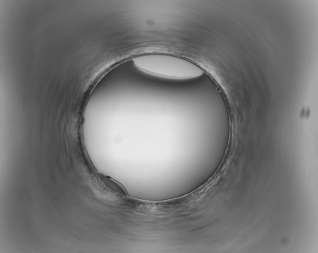 X0000092250297200709141011