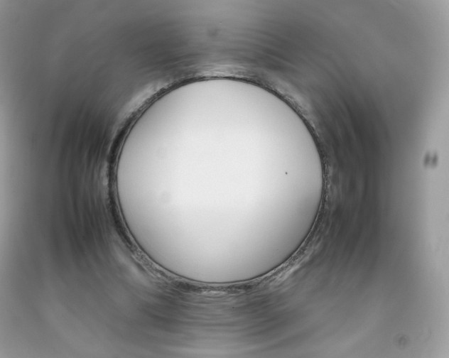 X0000092250298200709141011