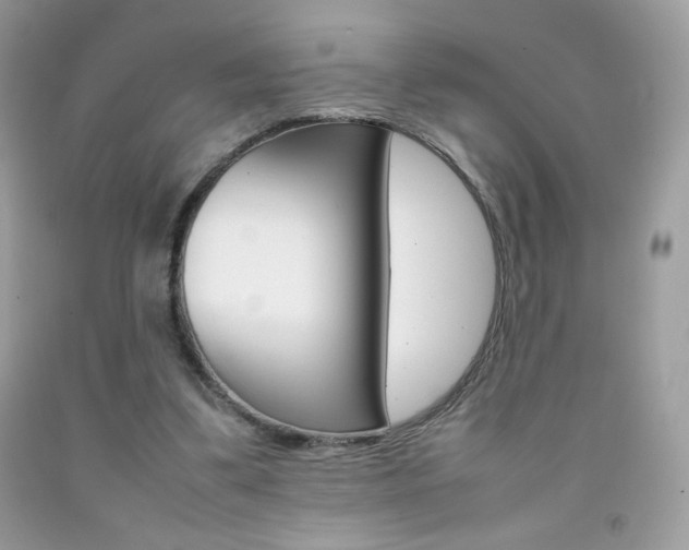 X0000092250299200709141011