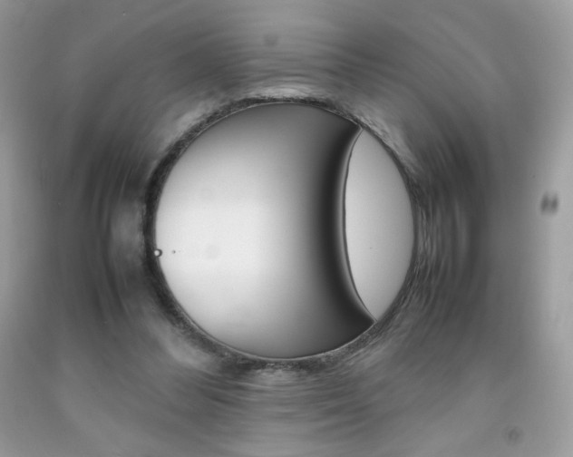 X0000092250300200709141011