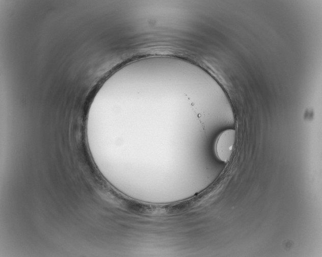 X0000092250301200709141011