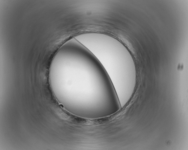 X0000092250305200709141011