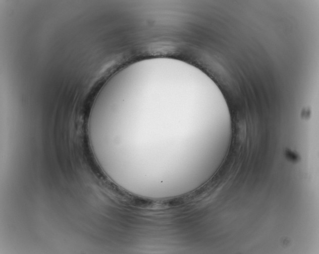 X0000092250308200709141011