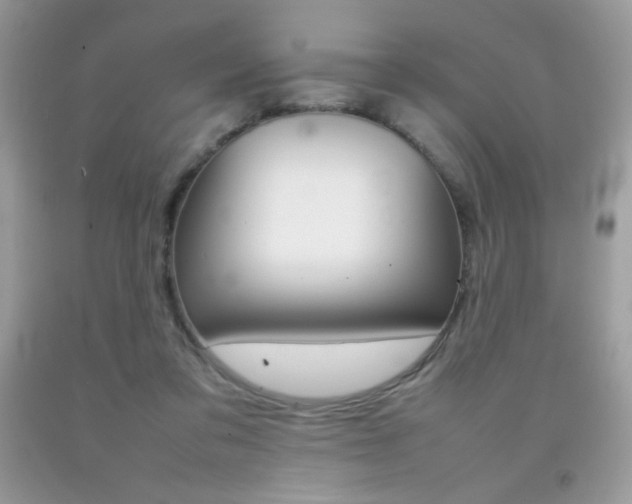 X0000092250309200709141011