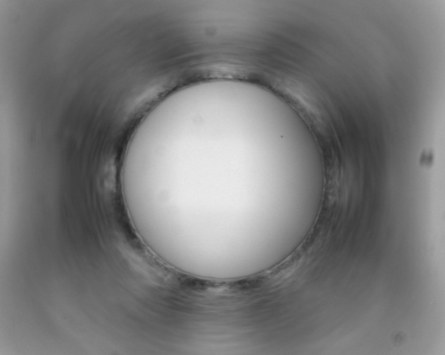 X0000092250310200709141011