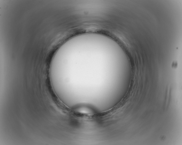 X0000092250311200709141011