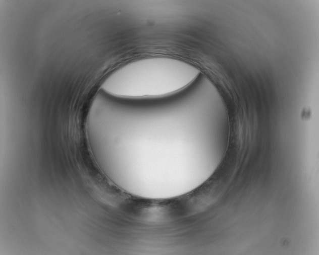 X0000092250312200709141011