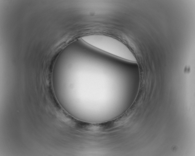 X0000092250313200709141011