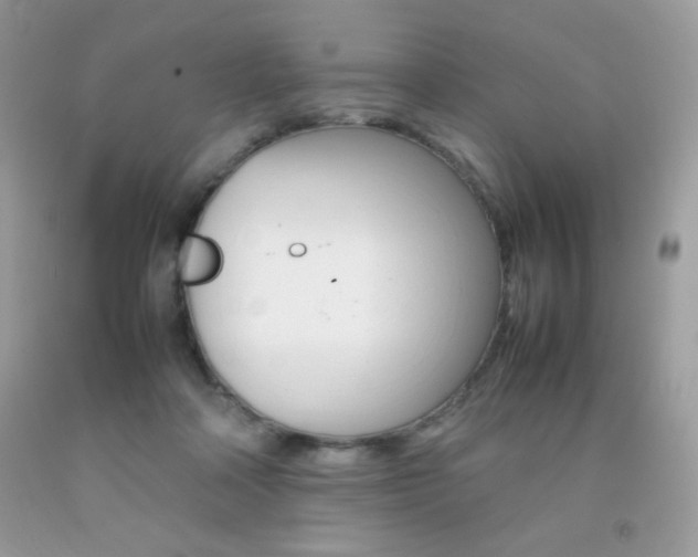 X0000092250314200709141011