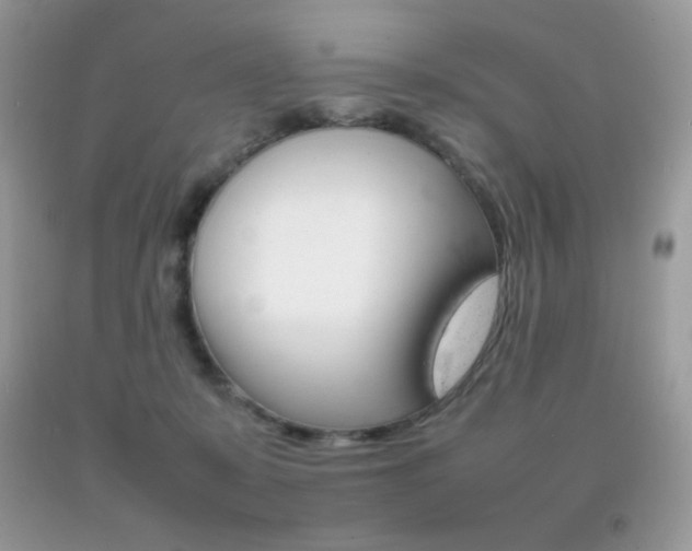 X0000092250319200709141010