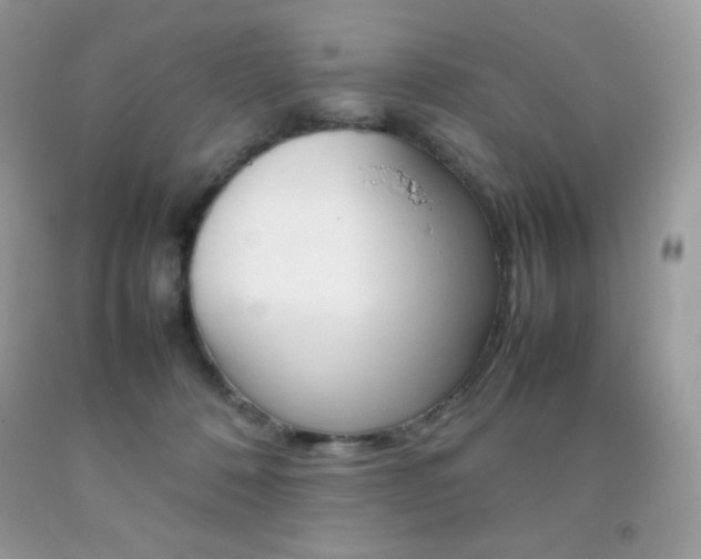 X0000092250320200709141010