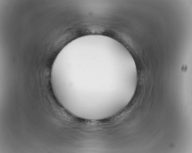 X0000092250321200709141010