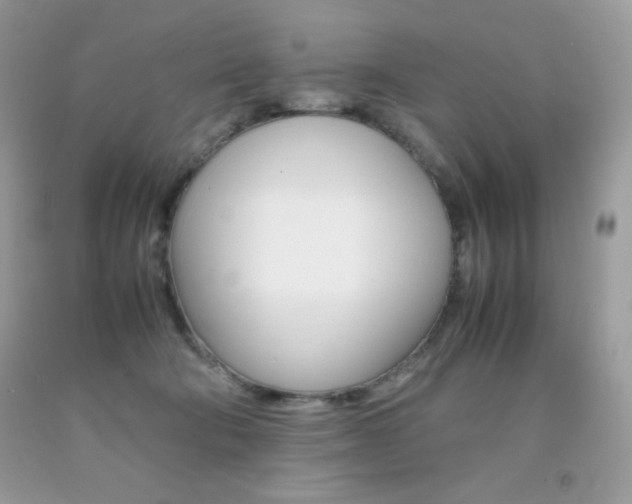 X0000092250322200709141010