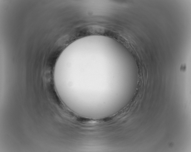 X0000092250323200709141010