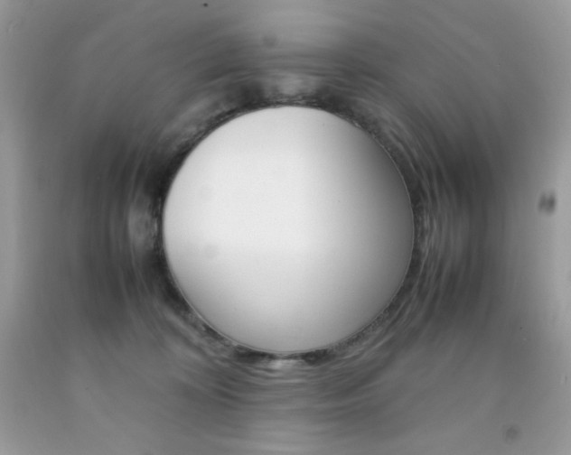 X0000092250324200709141010