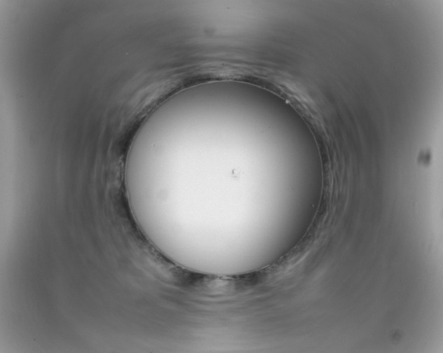 X0000092250325200709141010
