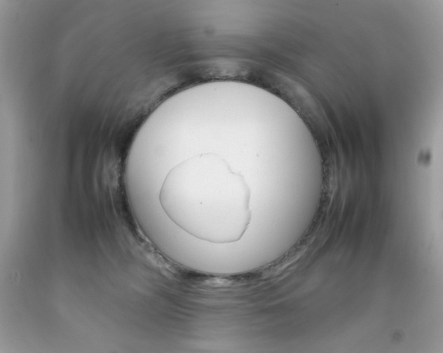 X0000092250326200709141010
