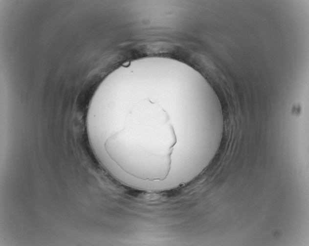 X0000092250327200709141010