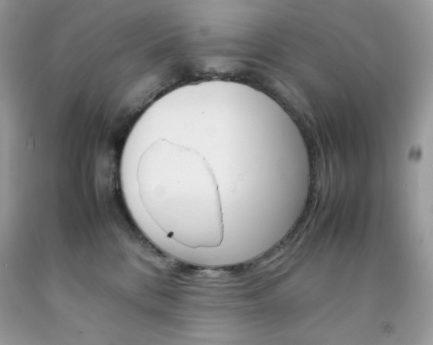 X0000092250328200709141010