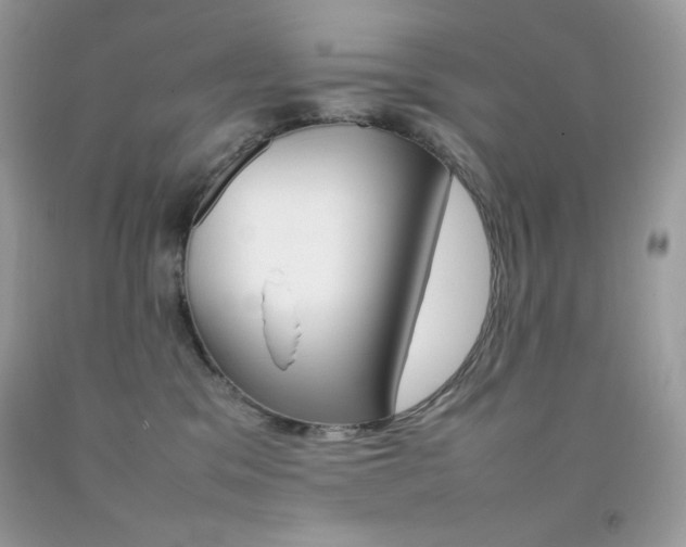 X0000092250329200709141010