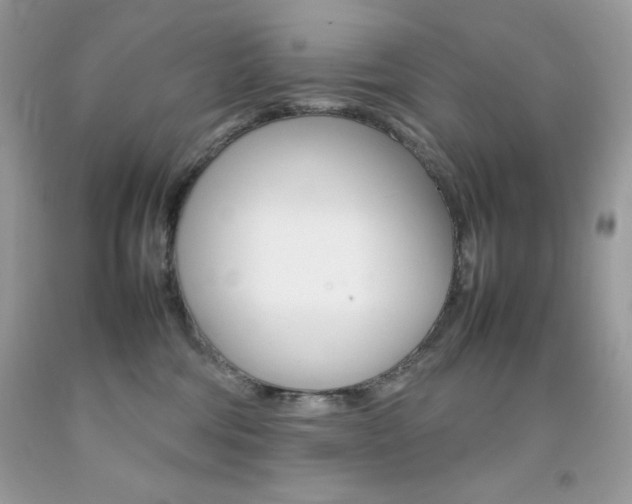 X0000092250330200709141010